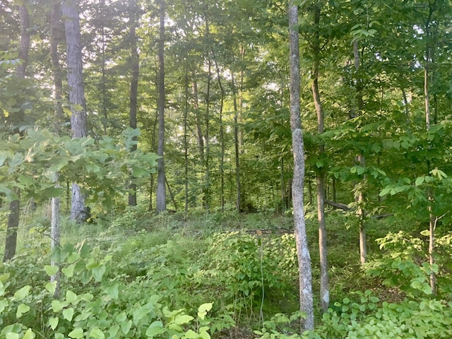 0 Wildlife Rd, Dover, TN 37058 - photo 15