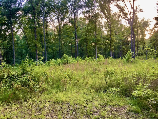0 Wildlife Rd, Dover, TN 37058 - photo 24
