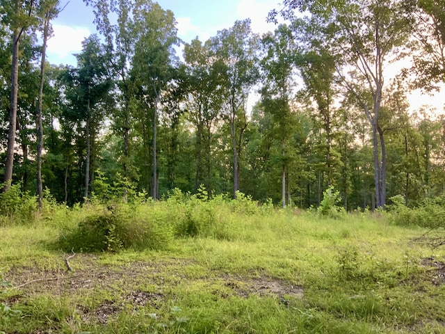 0 Wildlife Rd, Dover, TN 37058 - photo 26