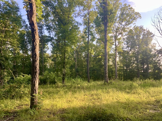 0 Wildlife Rd, Dover, TN 37058 - photo 2