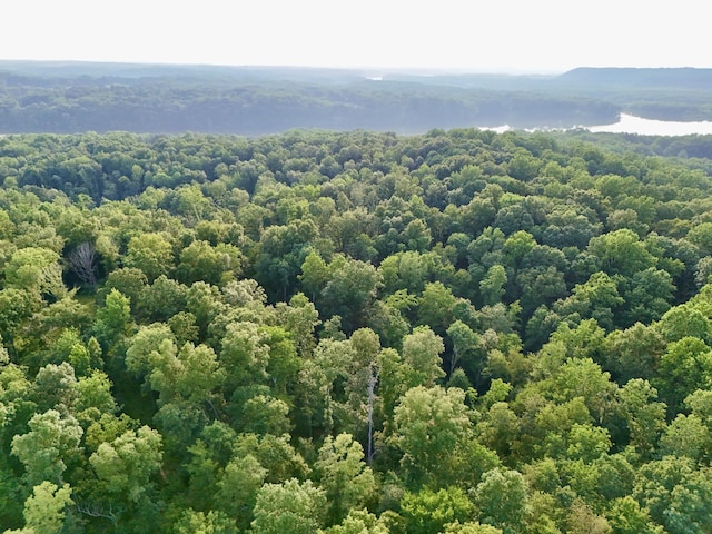 0 Wildlife Rd, Dover, TN 37058 - photo 7