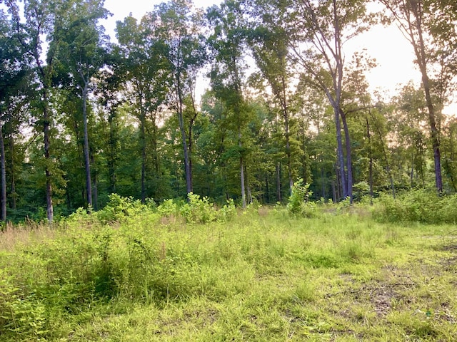 0 Wildlife Rd, Dover, TN 37058 - photo 21