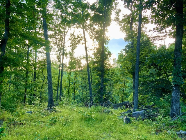0 Wildlife Rd, Dover, TN 37058 - photo 20