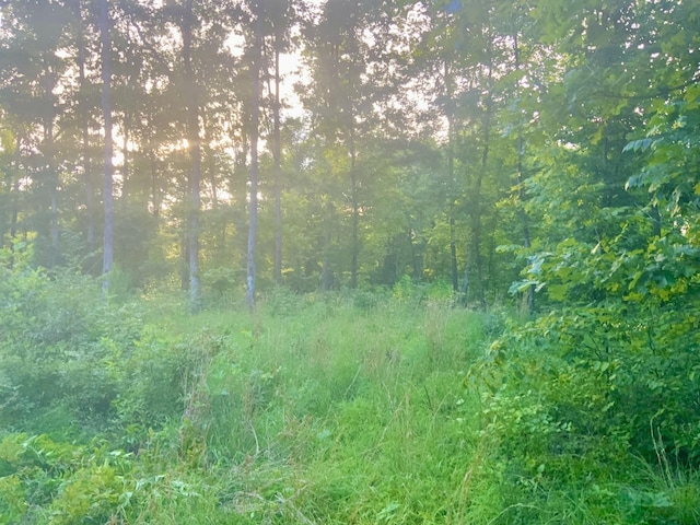 0 Wildlife Rd, Dover, TN 37058 - photo 14