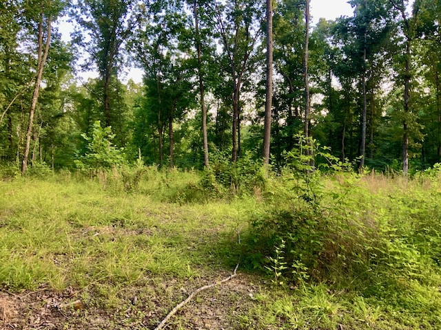 0 Wildlife Rd, Dover, TN 37058 - photo 23