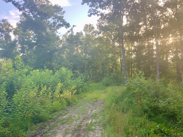 0 Wildlife Rd, Dover, TN 37058 - photo 13