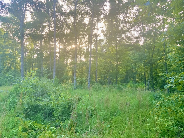 0 Wildlife Rd, Dover, TN 37058 - photo 10