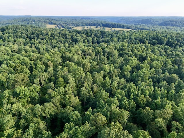 0 Wildlife Rd, Dover, TN 37058 - photo 11