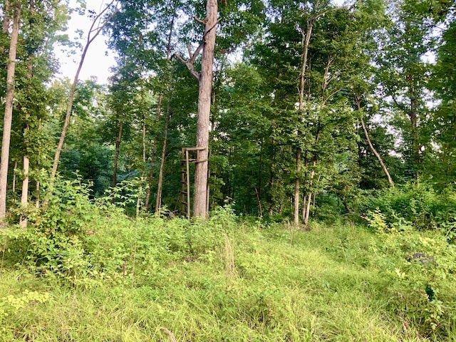 0 Wildlife Rd, Dover, TN 37058 - photo 19
