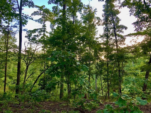 0 Wildlife Rd, Dover, TN 37058 - photo 25