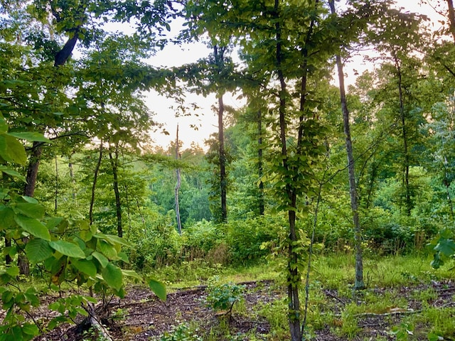 0 Wildlife Rd, Dover, TN 37058 - photo 4