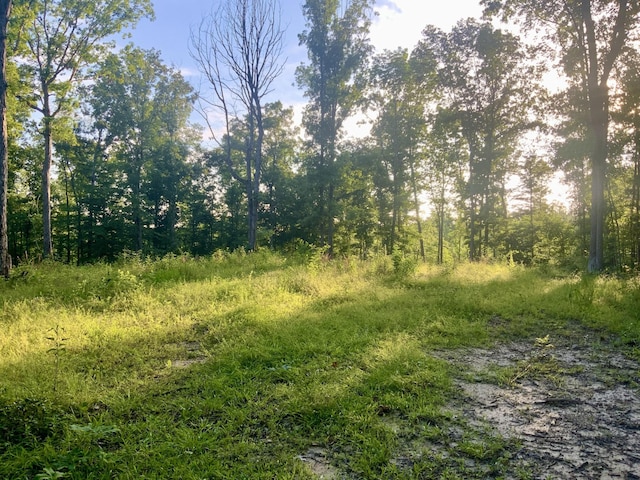 0 Wildlife Rd, Dover, TN 37058 - photo 16