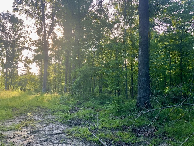 0 Wildlife Rd, Dover, TN 37058 - photo 17