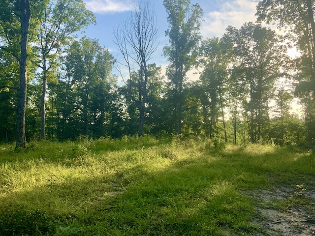 0 Wildlife Rd, Dover, TN 37058 - photo 3