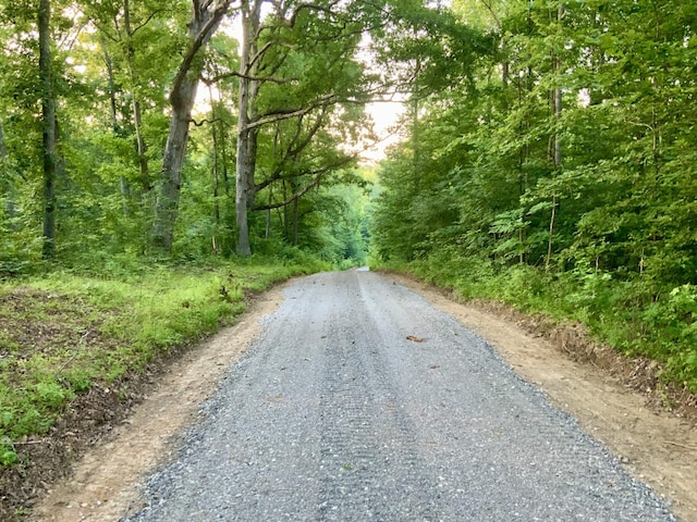 0 Wildlife Rd, Dover, TN 37058 - photo 6