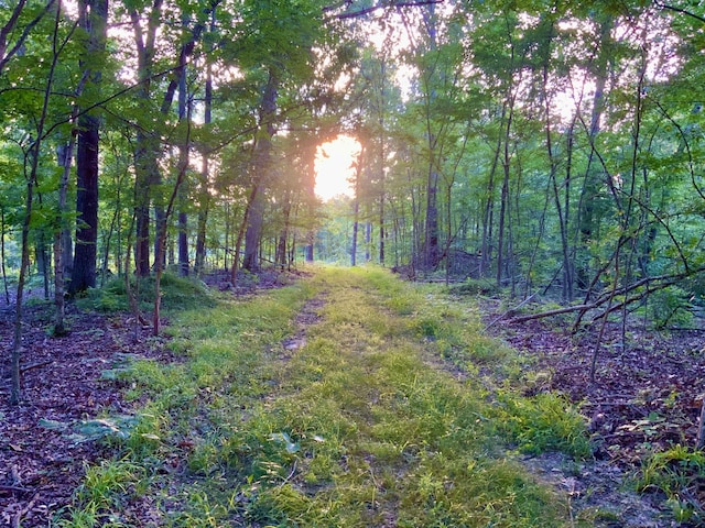 0 Wildlife Rd, Dover, TN 37058 - photo 5