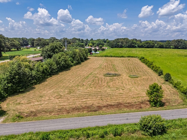 6 Snow Rd, Flintville, TN 37335 - photo 9