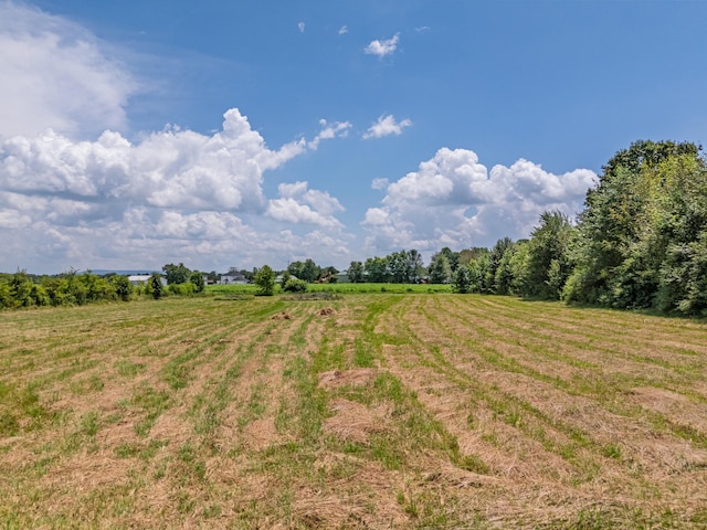 6 Snow Rd, Flintville, TN 37335 - photo 12