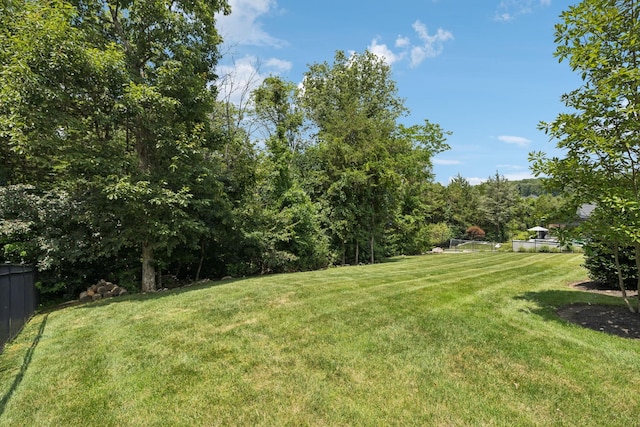 8559 Heirloom Blvd, College Grove, TN 37046 - photo 83