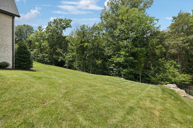 8559 Heirloom Blvd, College Grove, TN 37046 - photo 82