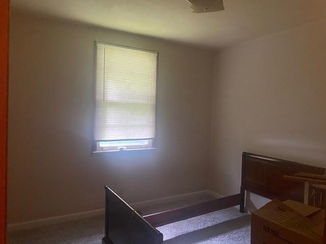 825 E Happy Hollow Dr, Clarksville, TN 37040 - photo 6