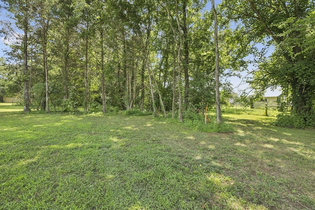 4849 Bradyville Pike, Murfreesboro, TN 37127 - photo 46