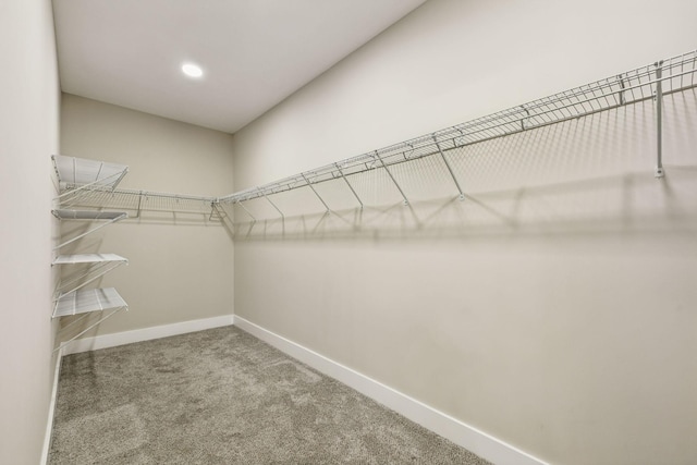 4849 Bradyville Pike, Murfreesboro, TN 37127 - photo 31