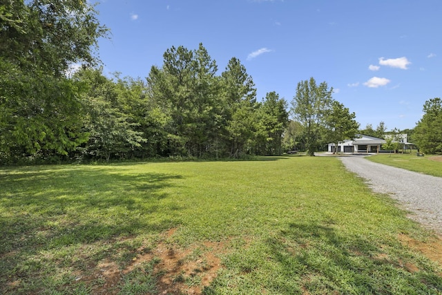 4849 Bradyville Pike, Murfreesboro, TN 37127 - photo 41