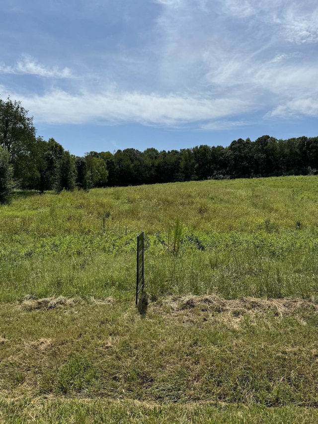 0 Honey Ln, Estill Springs, TN 37330 - photo 4