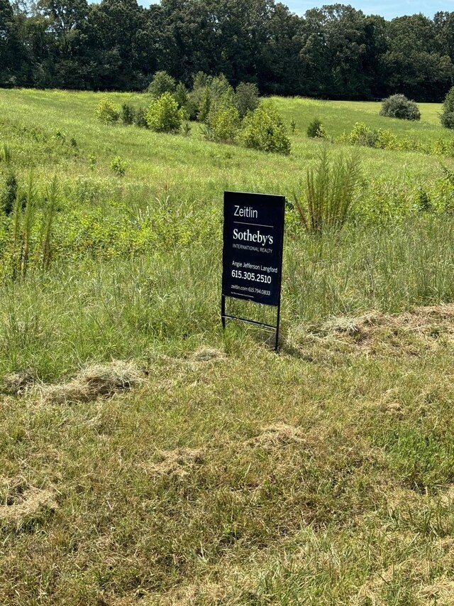 0 Honey Ln, Estill Springs, TN 37330 - photo 6