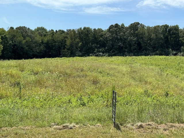 0 Honey Ln, Estill Springs, TN 37330 - photo 5