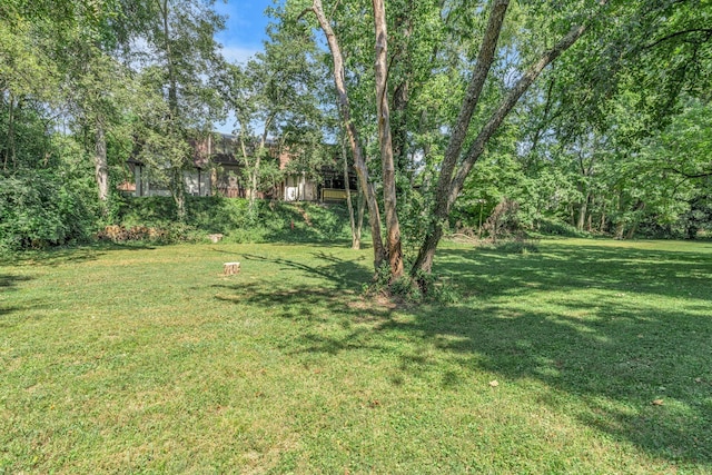 4505 Harding Pike Unit 153, Nashville, TN 37205 - photo 33