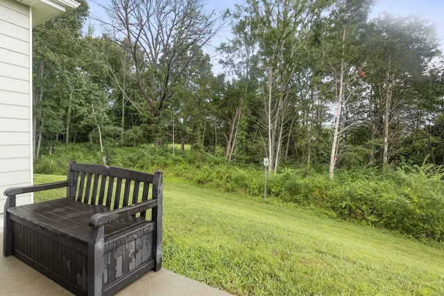 2308 Tintern Rd, Lebanon, TN 37087 - photo 23