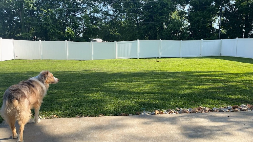 255 Illinois Ave, Oak Grove, KY 42262 - photo 2