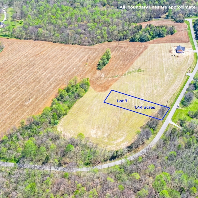 0 Carl Williams Rd, Crofton, KY 42217 - photo 3