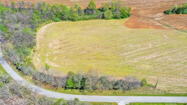 0 Carl Williams Rd, Crofton, KY 42217 - photo 4