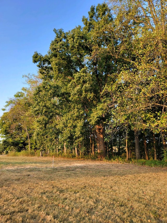 105 Riggs Rd, Portland, TN 37148 - photo 10