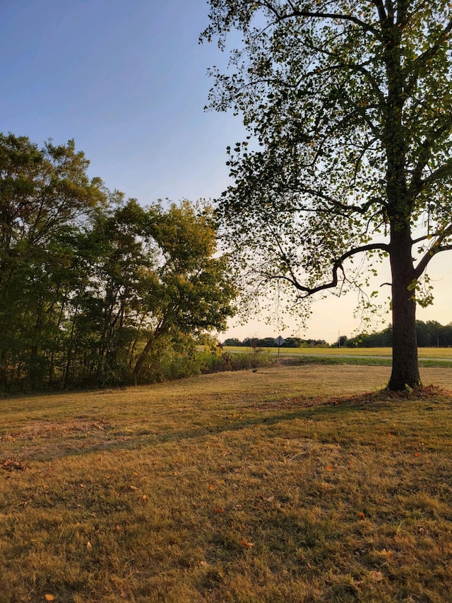 105 Riggs Rd, Portland, TN 37148 - photo 8
