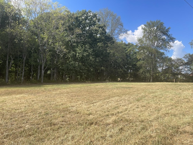101 Riggs Rd, Portland, TN 37148 - photo 4