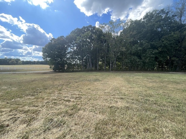 101 Riggs Rd, Portland, TN 37148 - photo 5