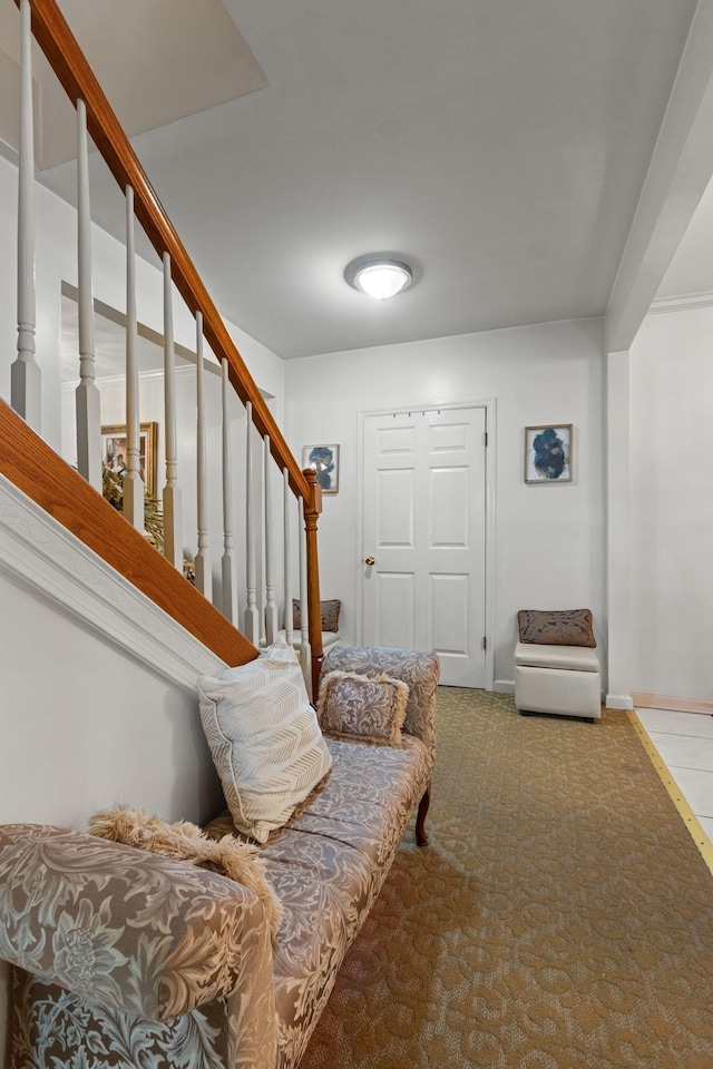 1503 Carmack Blvd, Columbia, TN 38401 - photo 9