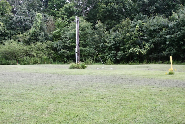 2025 Linda Ln, Cumberland Furnace, TN 37051 - photo 26