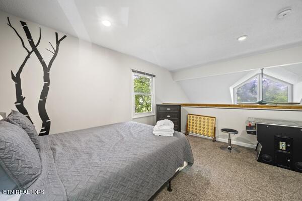 1523 Gillespie Way, Gatlinburg, TN 37738 - photo 18