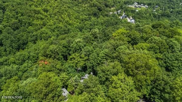 1523 Gillespie Way, Gatlinburg, TN 37738 - photo 27