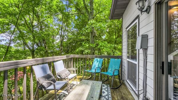 1523 Gillespie Way, Gatlinburg, TN 37738 - photo 24
