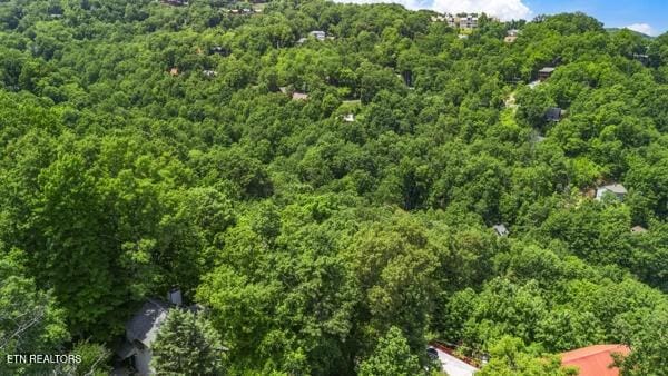 1523 Gillespie Way, Gatlinburg, TN 37738 - photo 26
