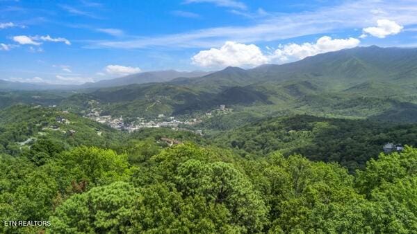 1523 Gillespie Way, Gatlinburg, TN 37738 - photo 25
