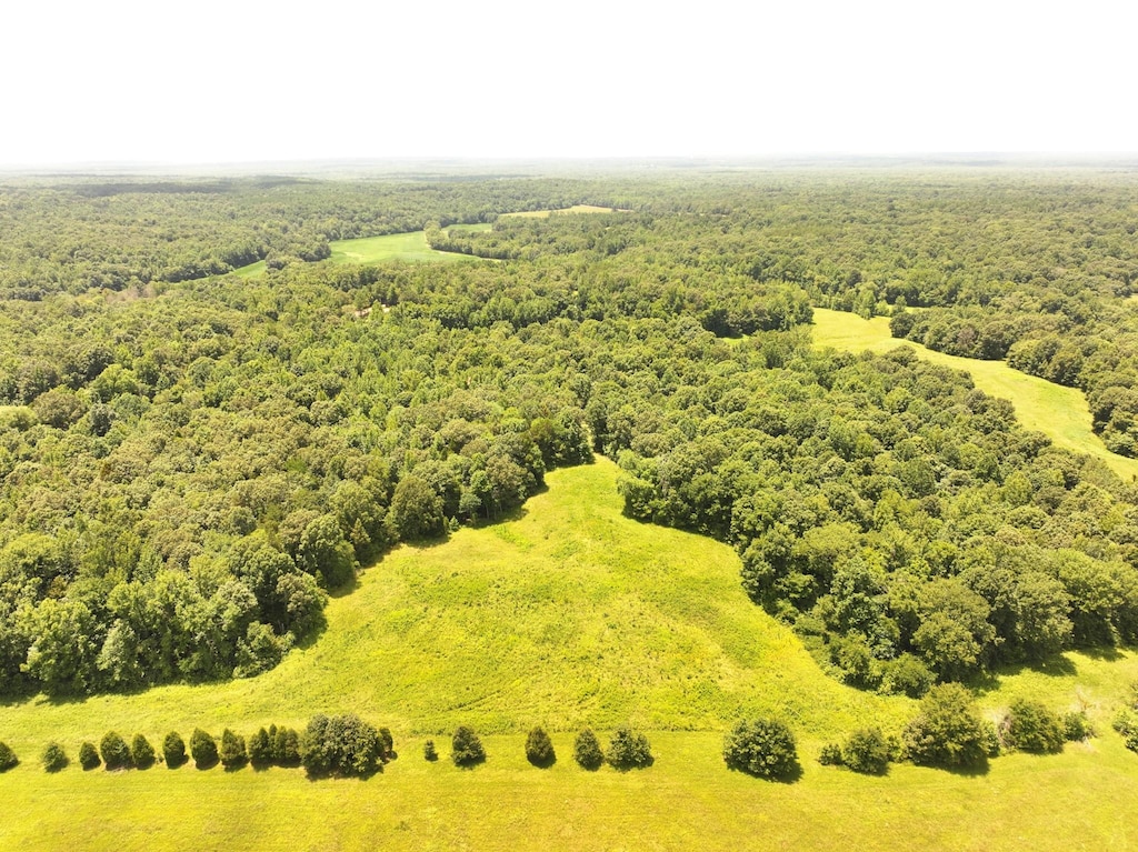 0 Keller Rd, Toone, TN 38381 - photo 2