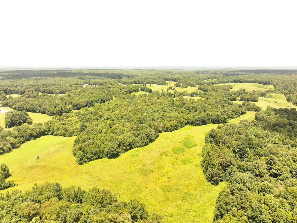 0 Keller Rd, Toone, TN 38381 - photo 1