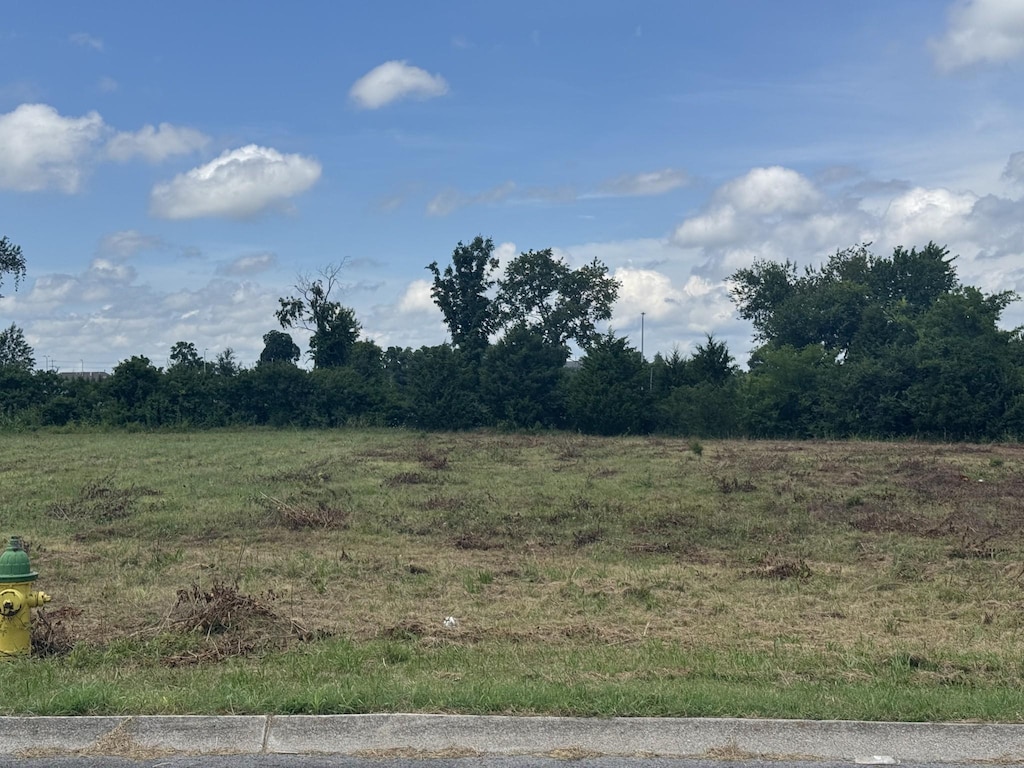 621 Commons Dr, Gallatin, TN 37066 - photo 3